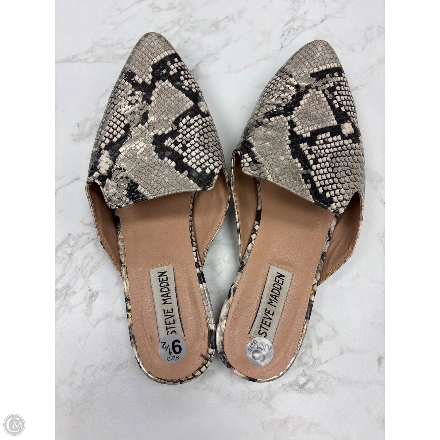 Shoes Flats By Steve Madden In Animal Print, Size: 9.5