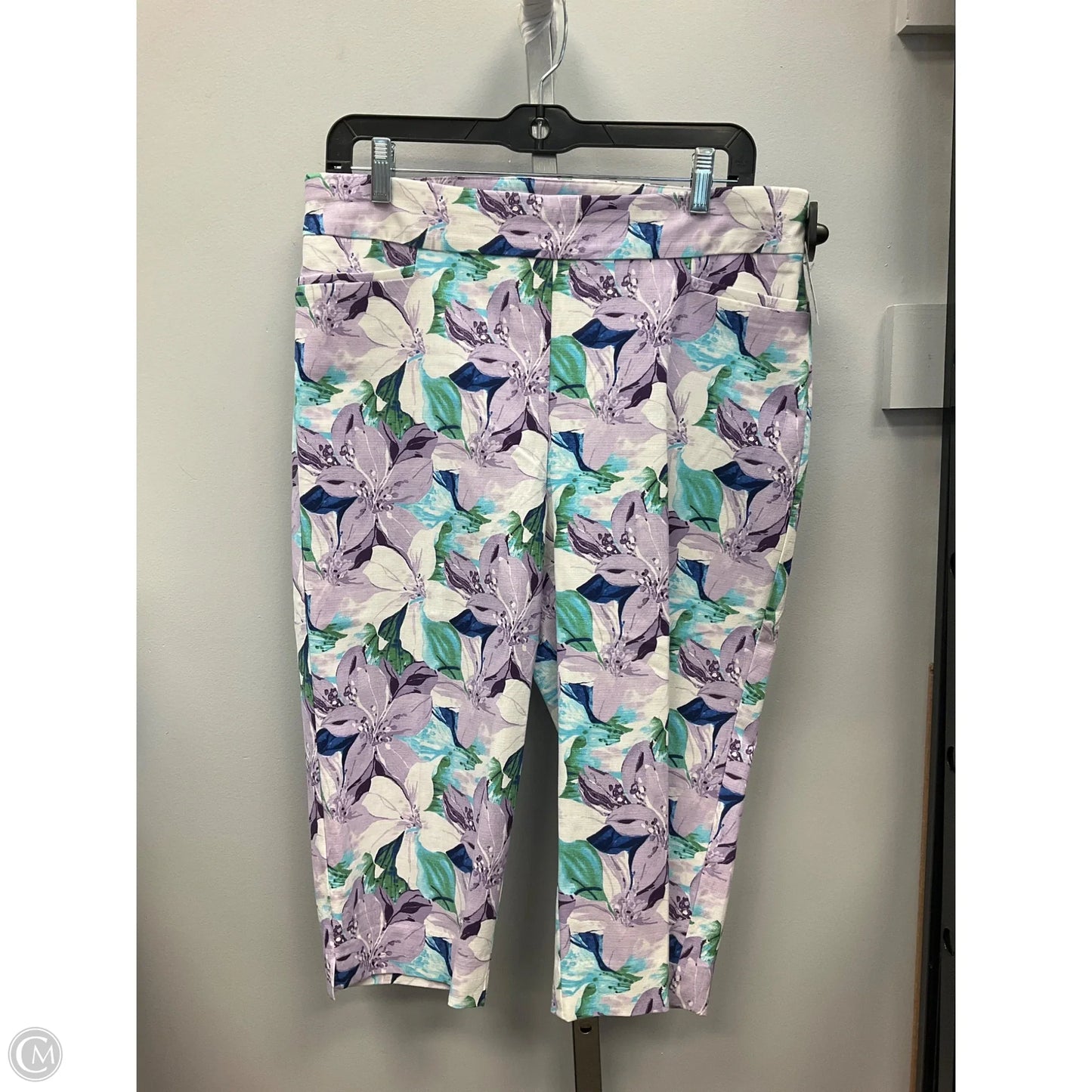 Capris By Chicos In Floral Print, Size: 10