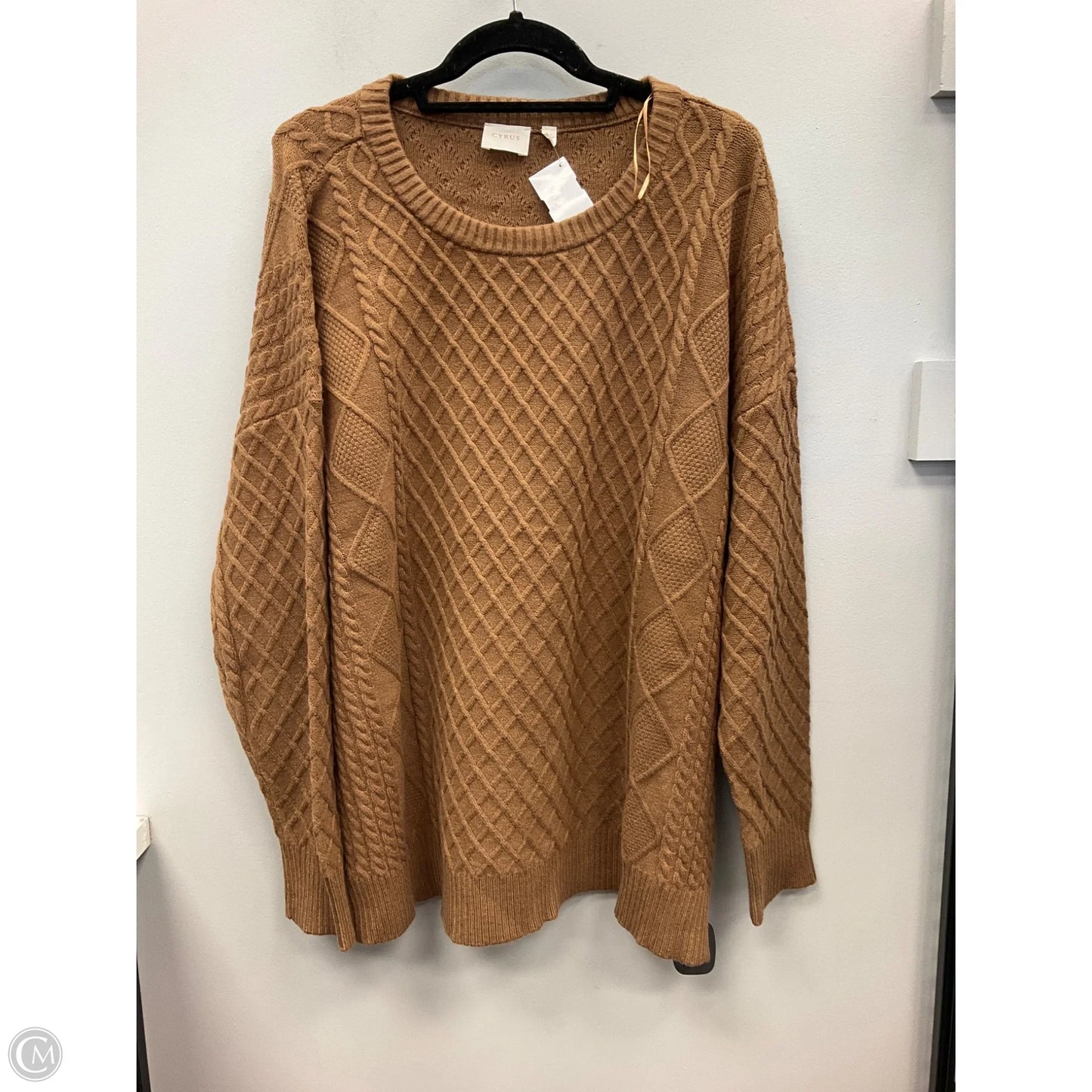 Sweater By Cyrus In Brown, Size: Xl