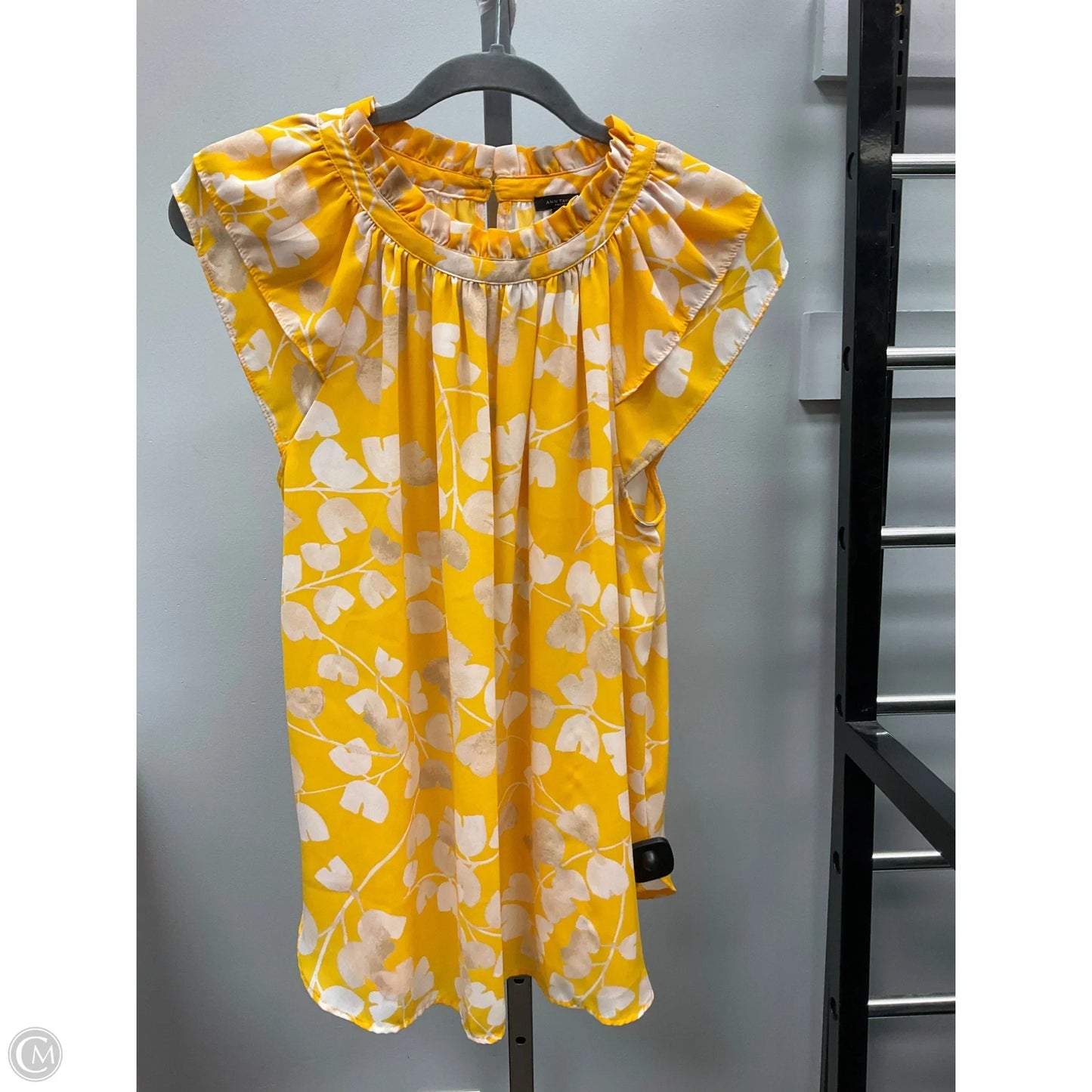 Top Sleeveless By Ann Taylor In Cream & Yellow, Size: M