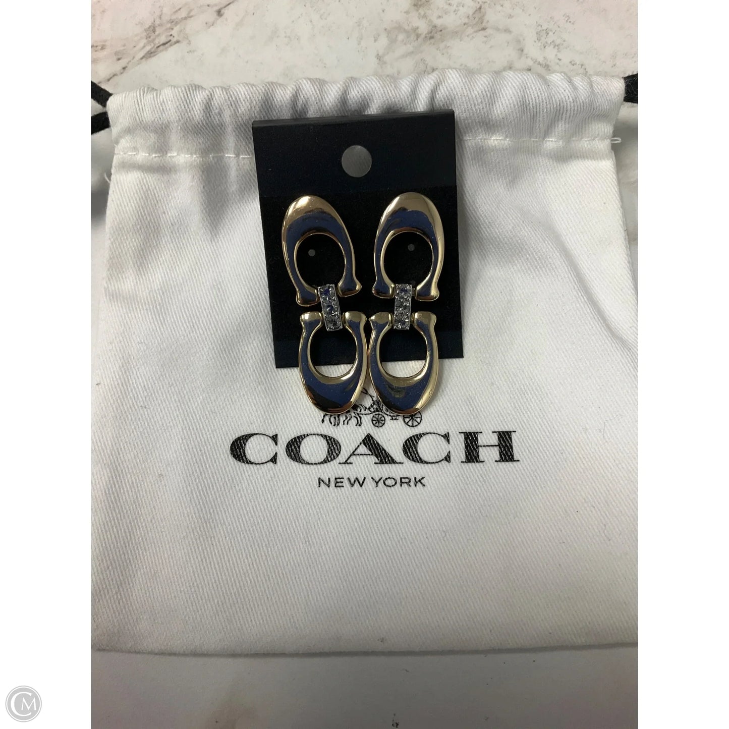 Earrings Designer By Coach