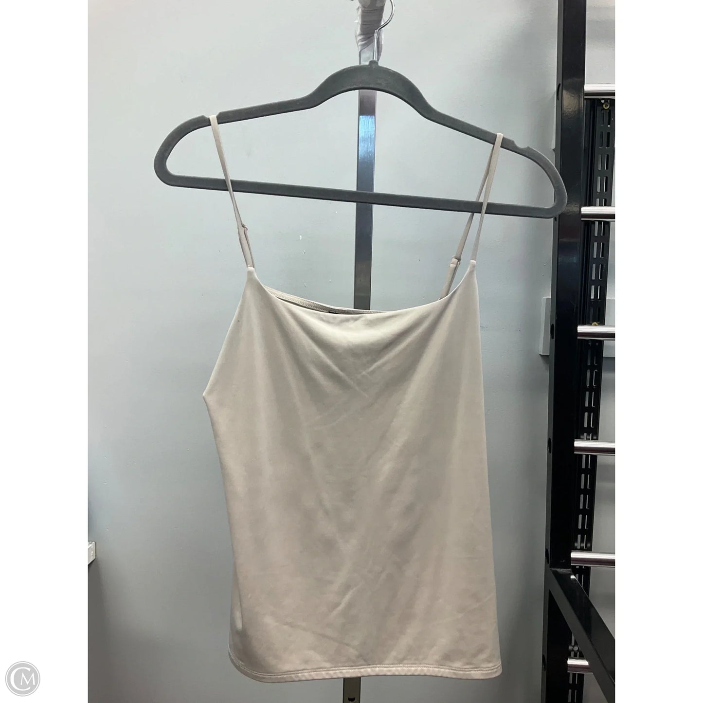 Top Sleeveless Basic By Express In Beige, Size: L