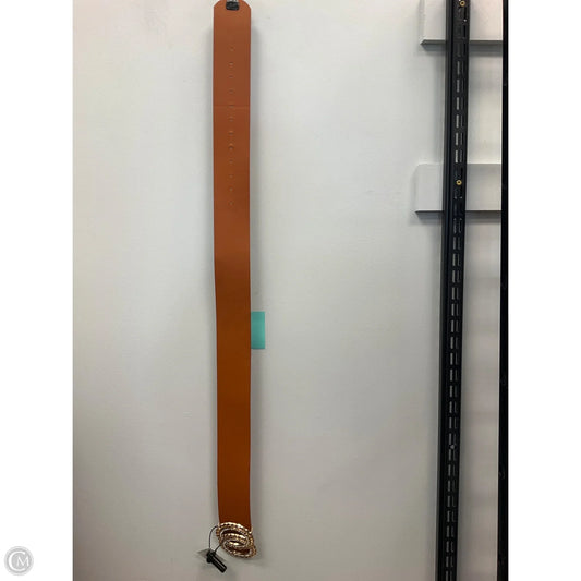 Belt By Clothes Mentor