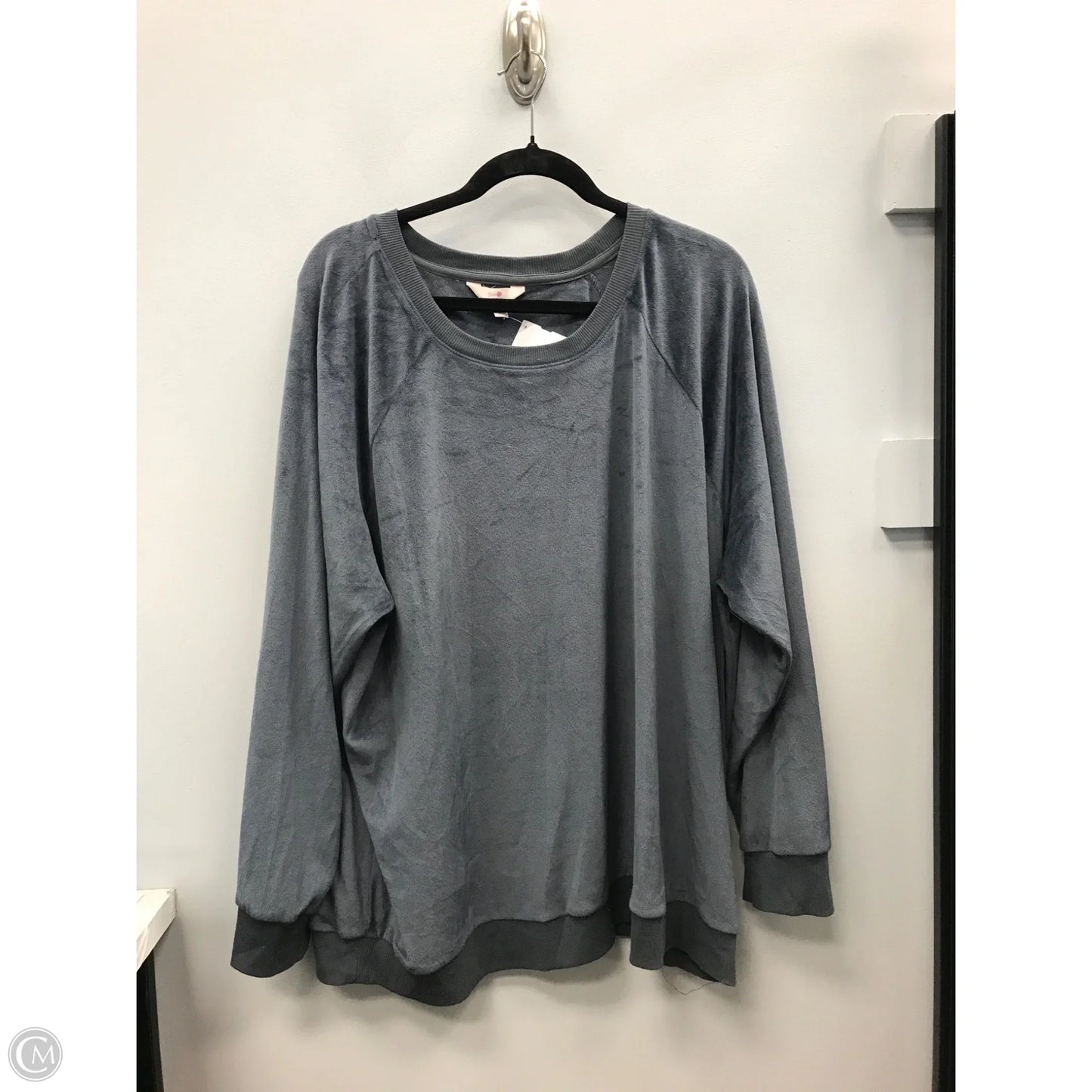 Top Long Sleeve By Secret Treasures In Grey, Size: 3x