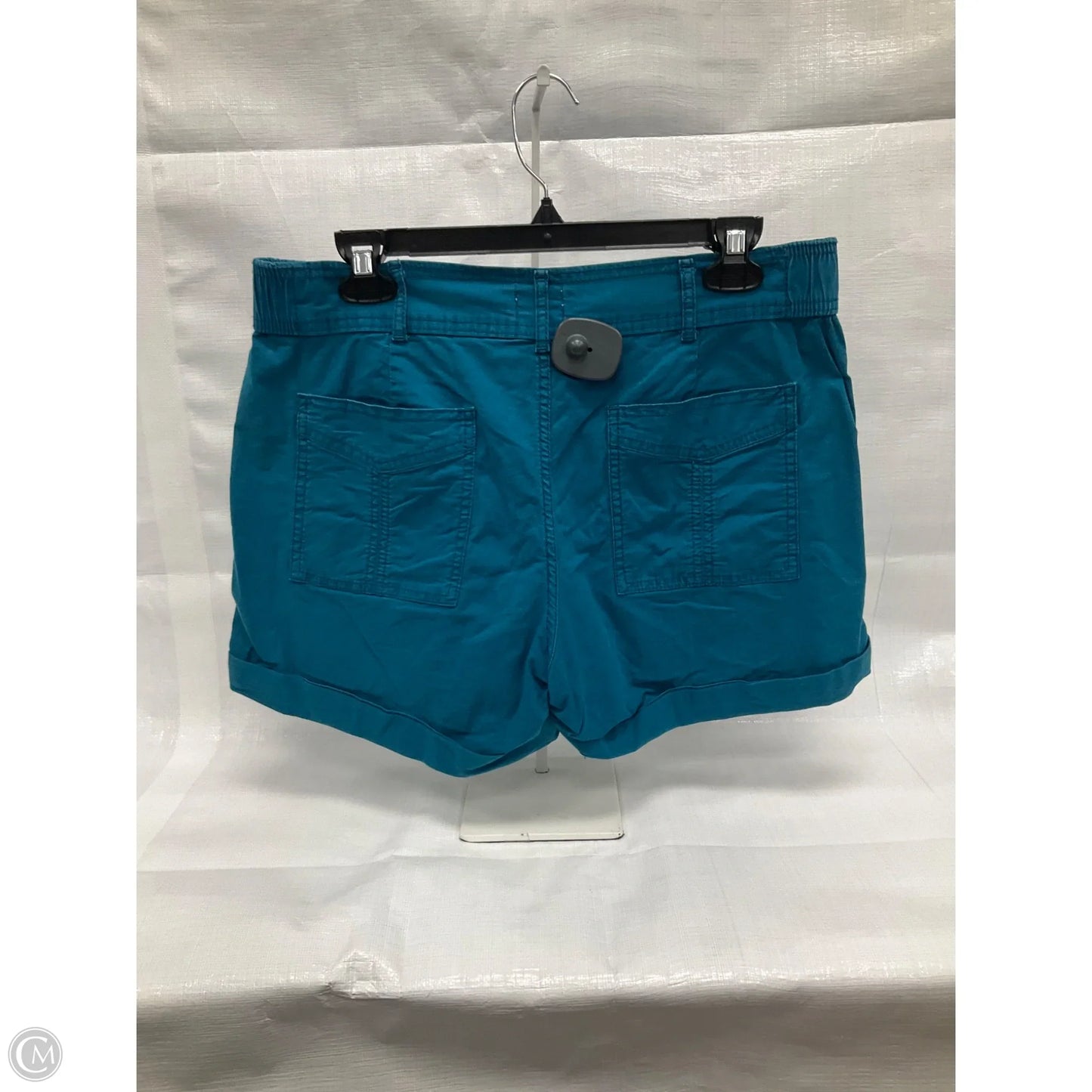 Shorts By Time And Tru In Teal, Size: 8