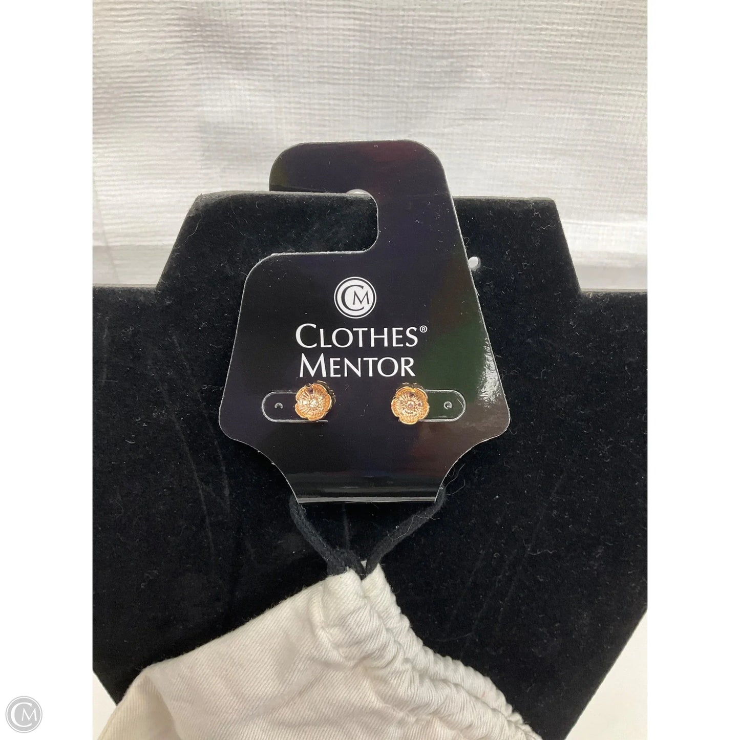 Earrings Designer By Coach