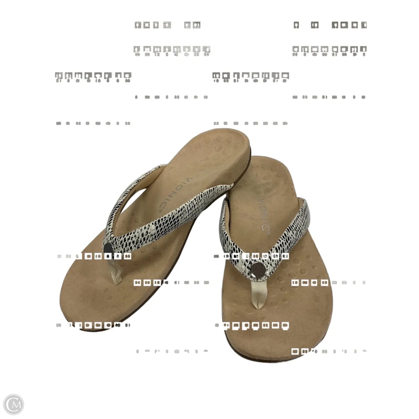 Shoes Sneakers By Allbirds In Green, Size: 8