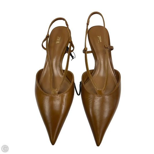 Shoes Heels Kitten By Zara In Brown, Size: 9