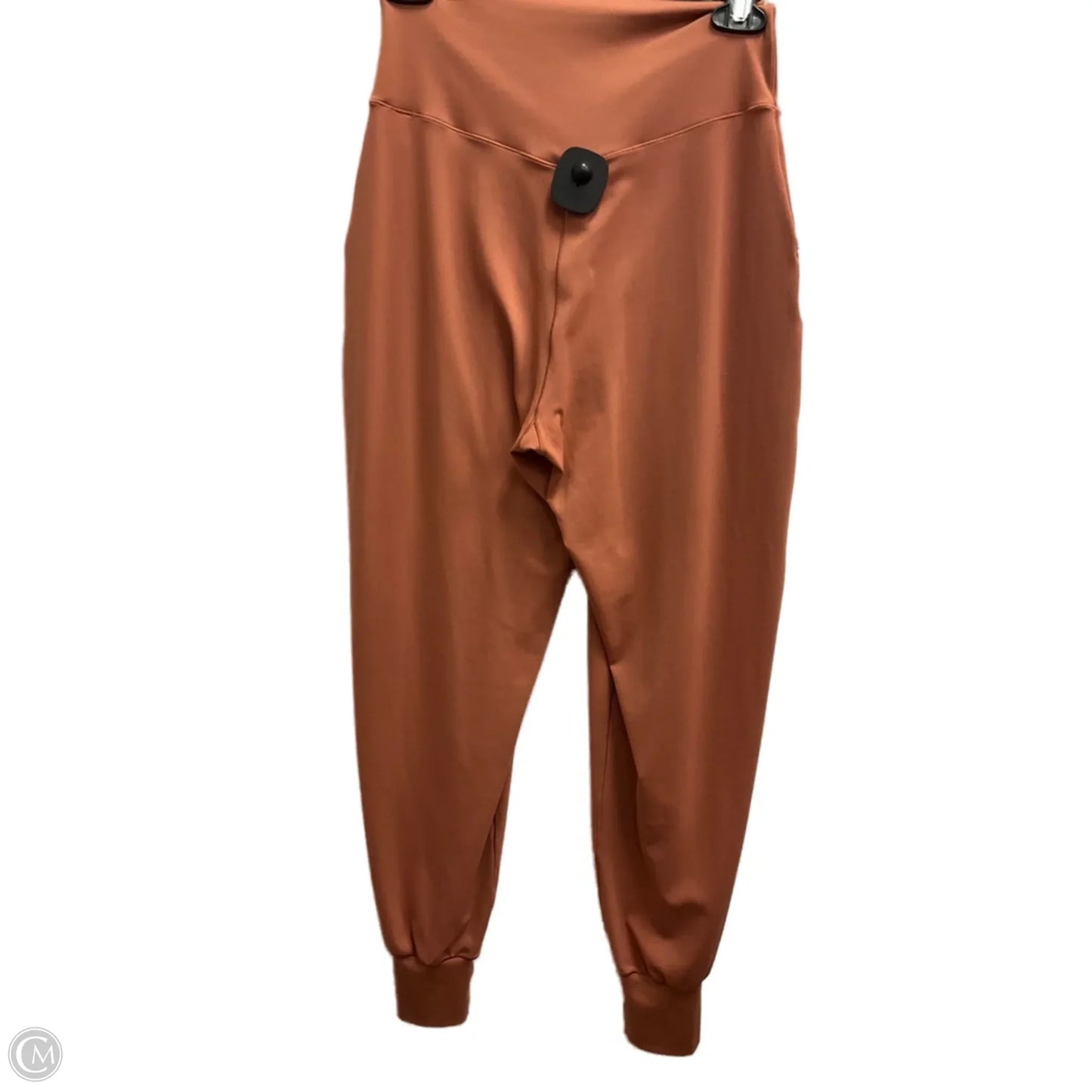 Athletic Pants By Aerie In Pink, Size: M