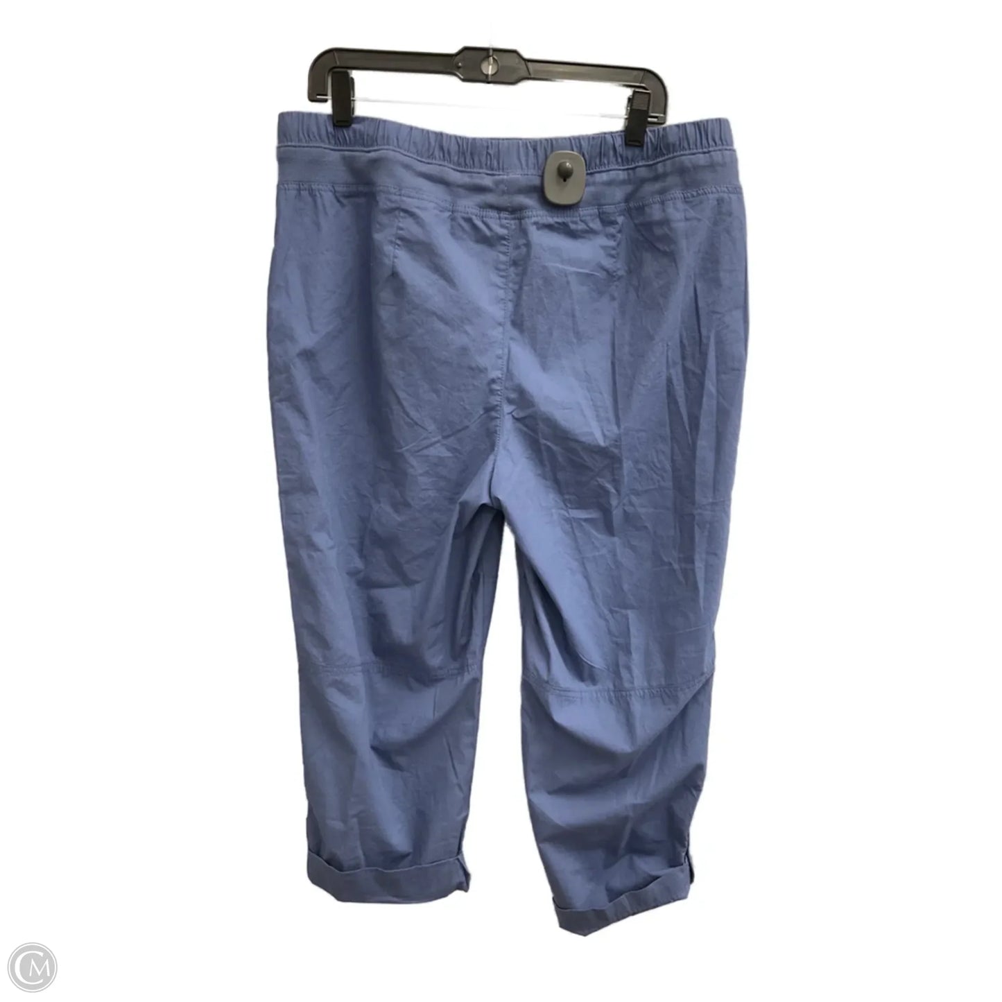 Pants Cargo & Utility By Nautica In Blue, Size: L
