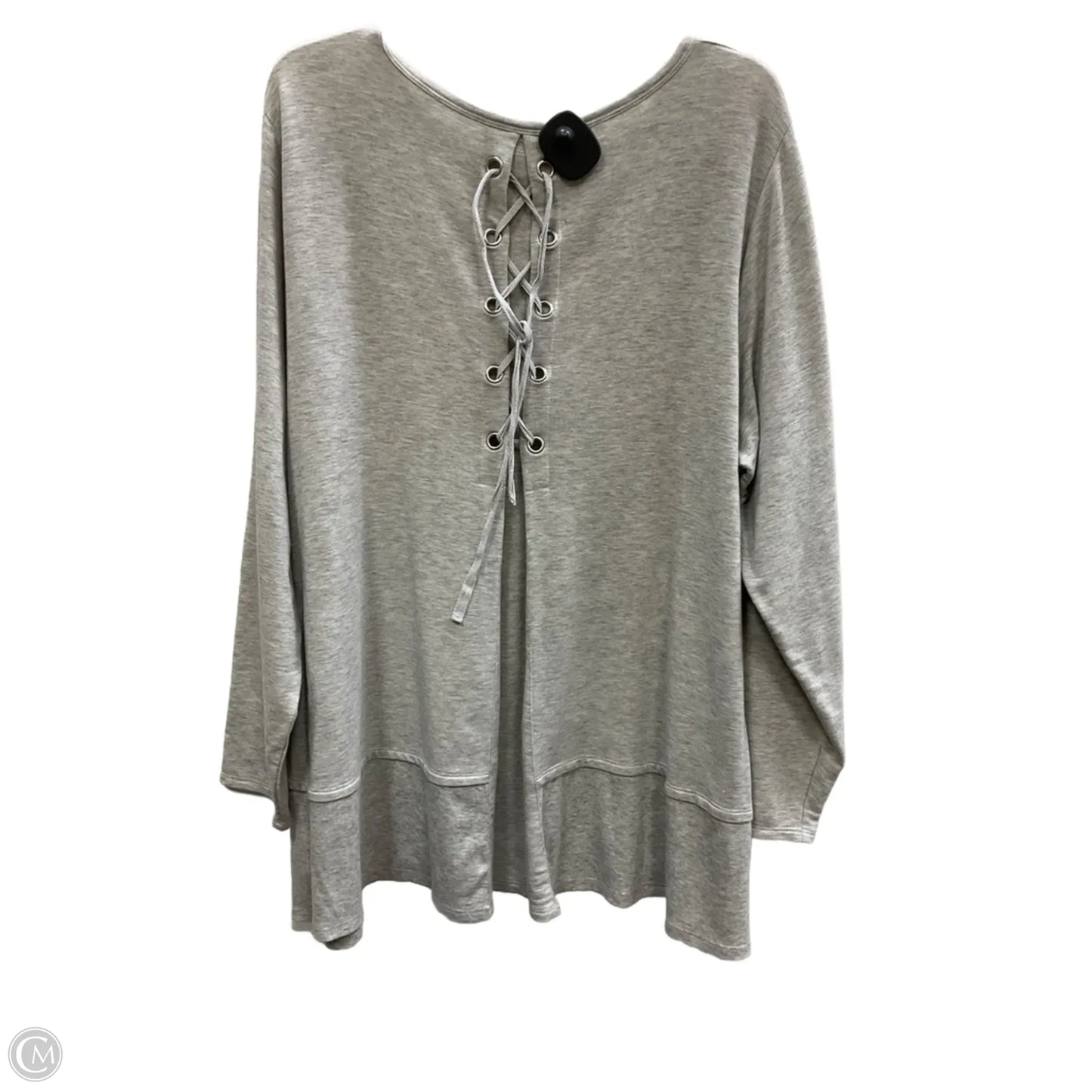 Top Long Sleeve By Cupio In Grey, Size: 2x