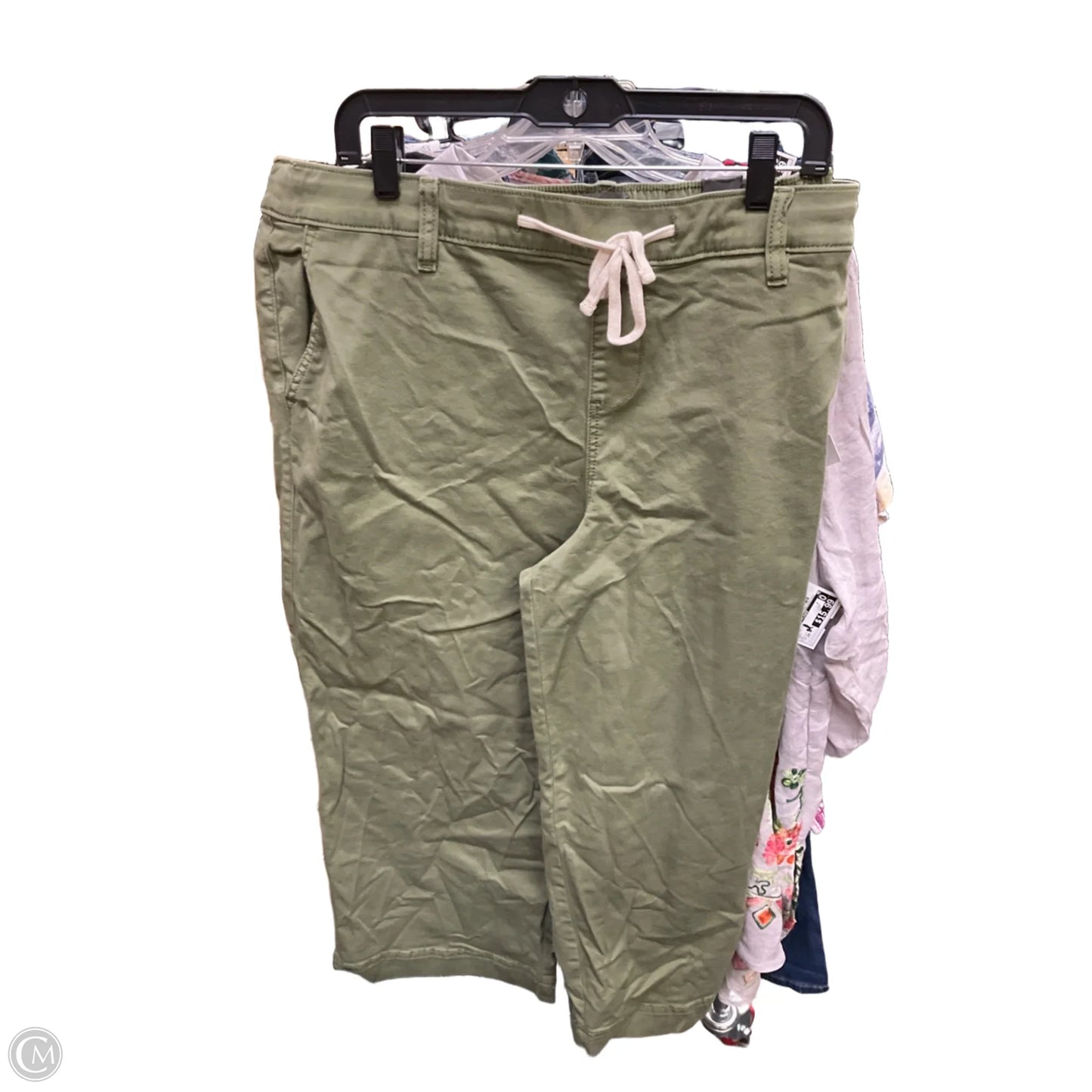 Capris By Torrid In Green, Size: 3x