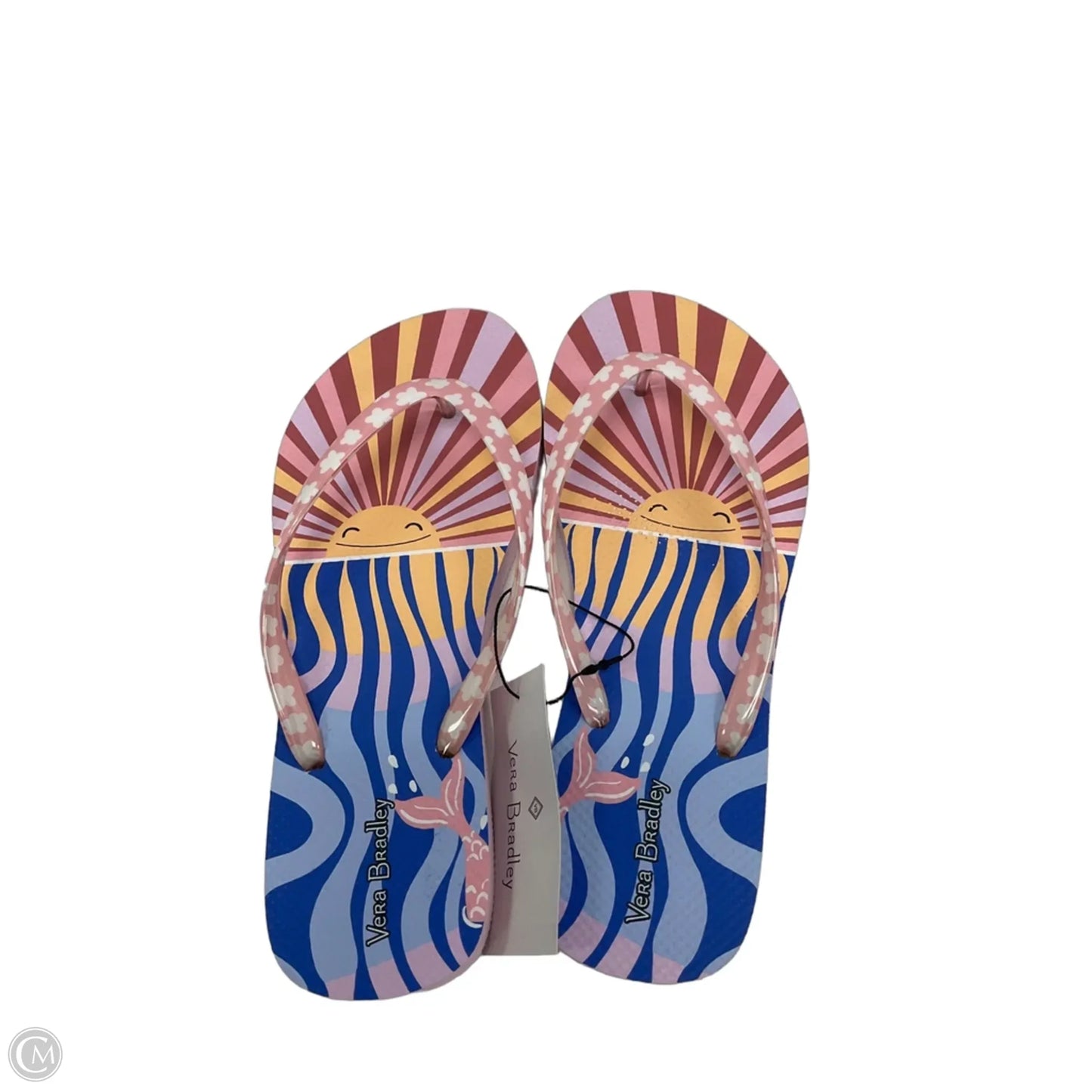 Sandals Flip Flops By Vera Bradley In Blue & Pink, Size: 7.5