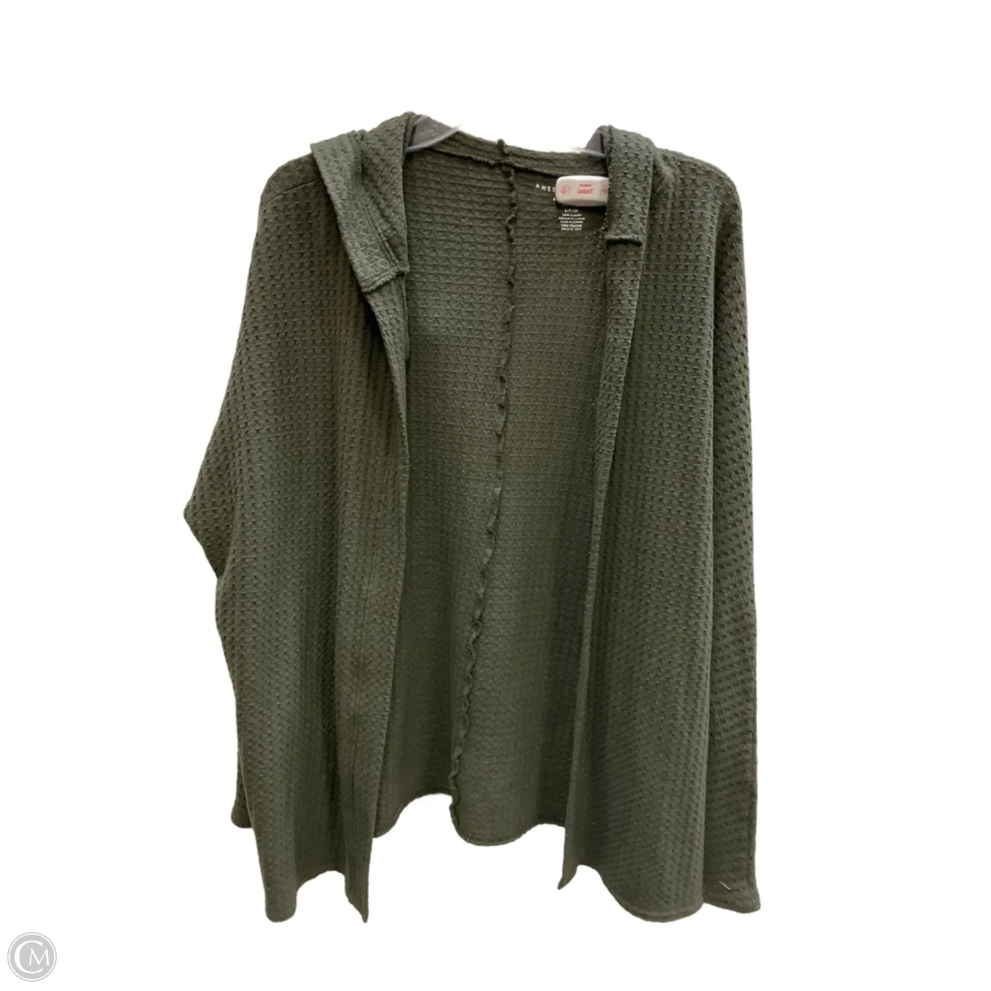 Sweatshirt Hoodie By American Eagle In Green, Size: S