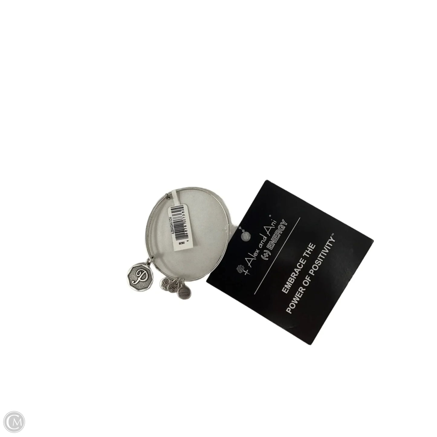 Bracelet Charm By Alex And Ani