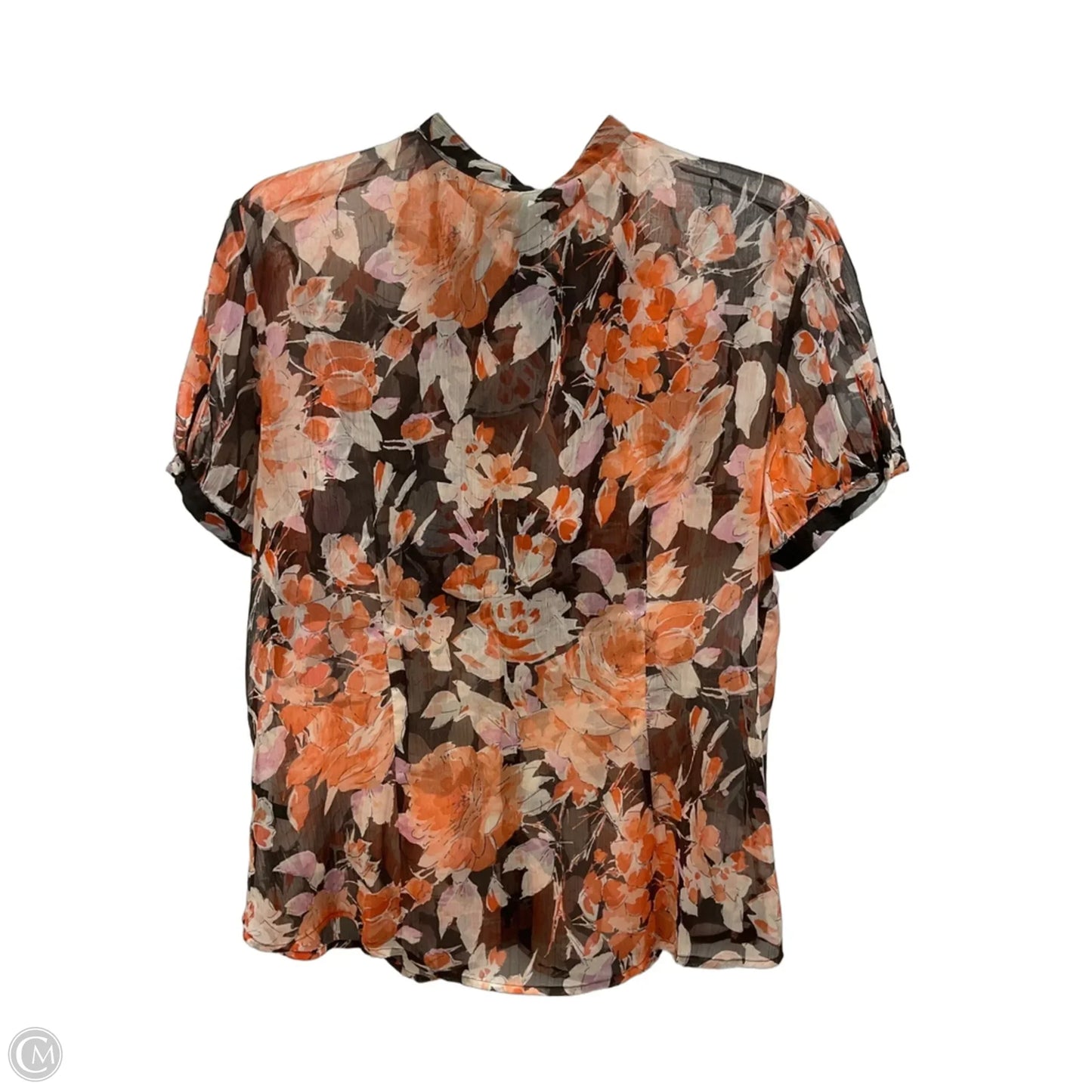 Top Short Sleeve By Ralph Lauren In Brown, Size: 16