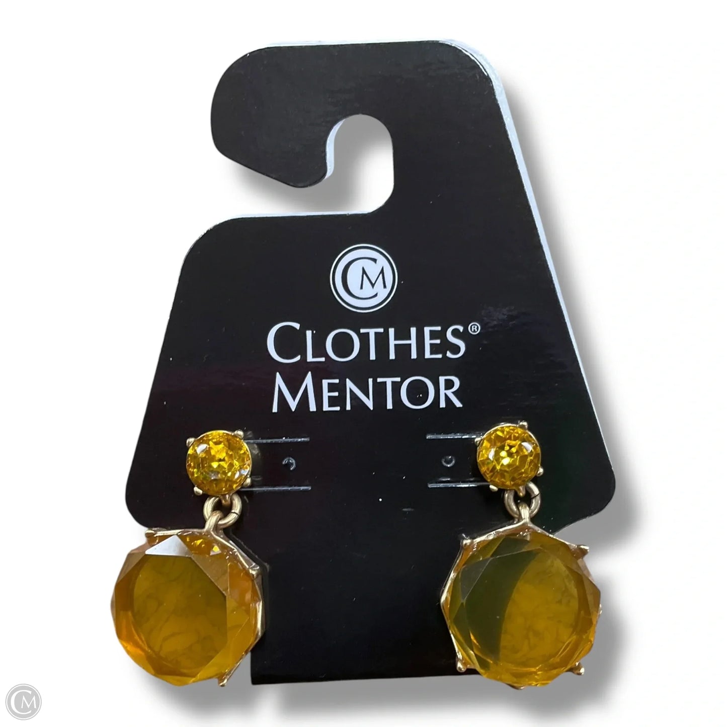 Earrings Dangle/drop By Clothes Mentor