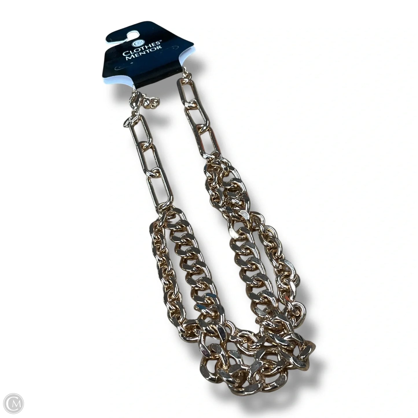 Necklace Chain By Express