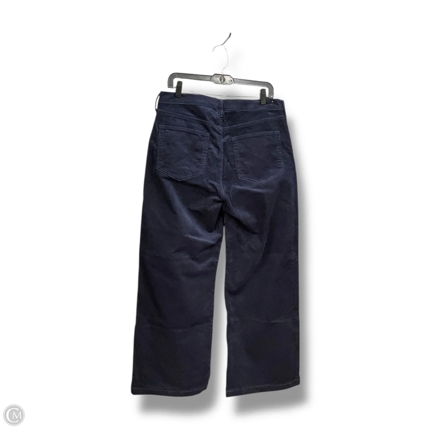Pants Other By Gap In Navy, Size: 14