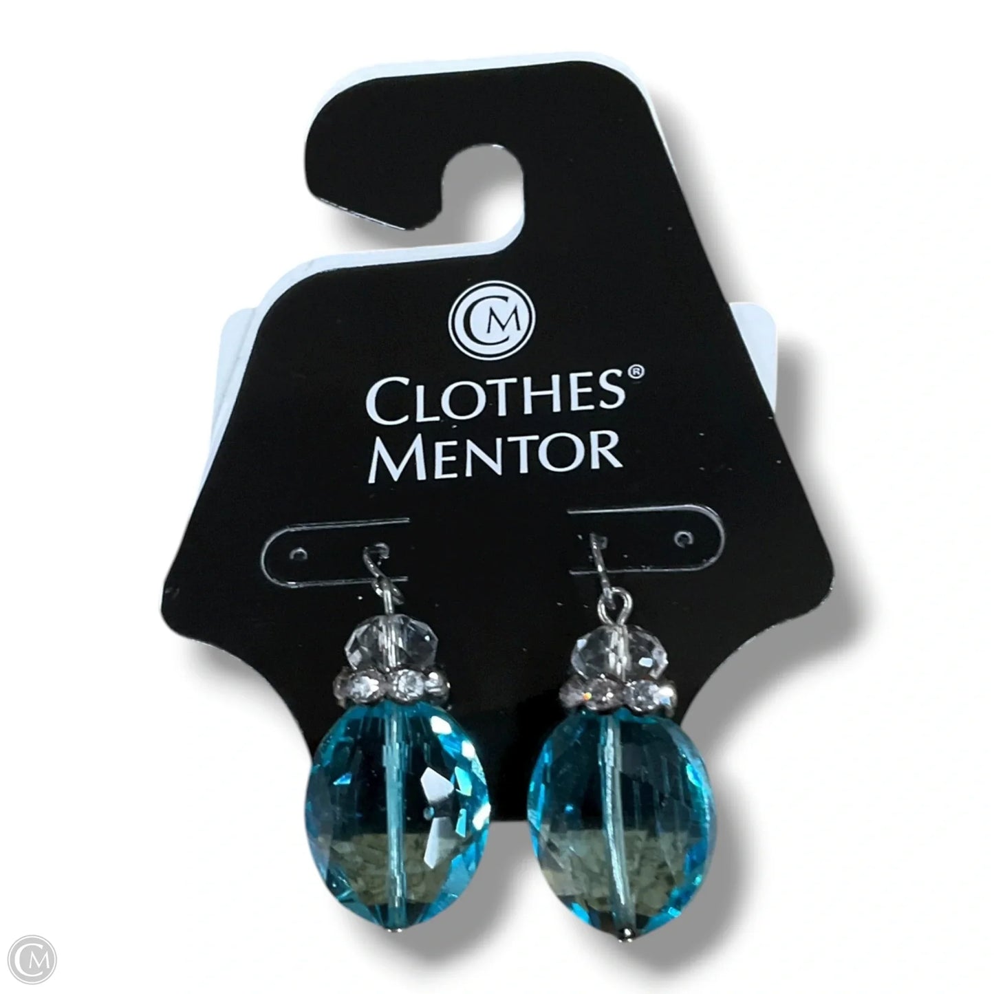 Earrings Dangle/drop By Clothes Mentor