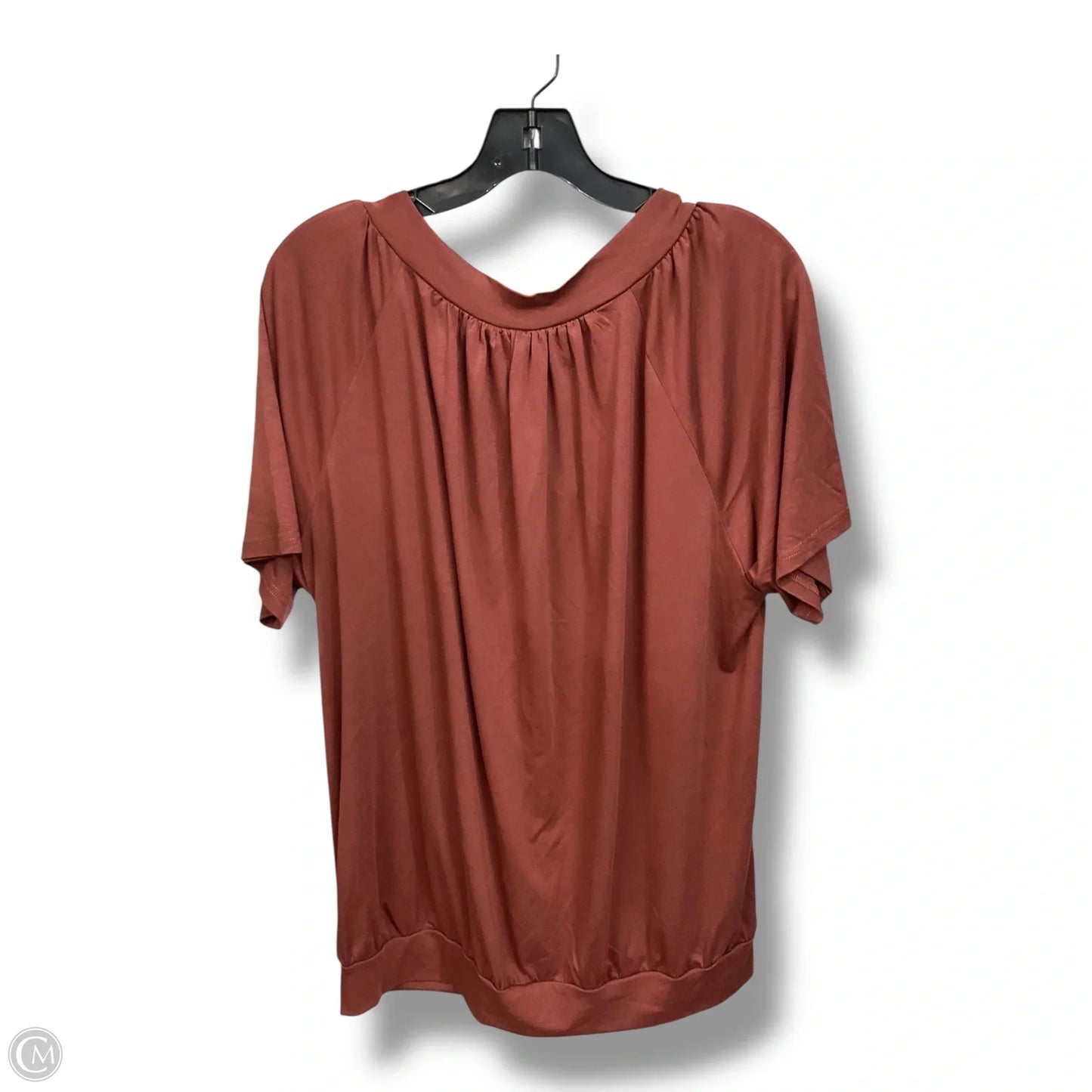 Top Short Sleeve By Clothes Mentor In Brown, Size: 2x