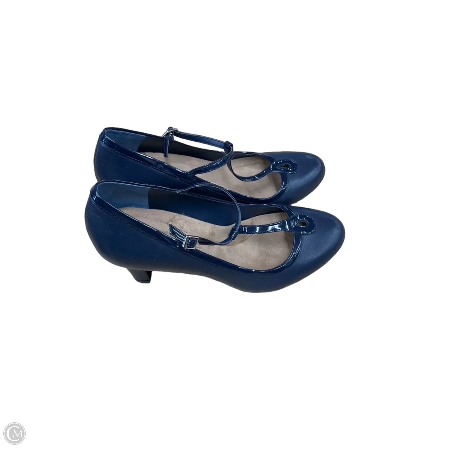 Shoes Heels Kitten By Giani Bernini In Blue, Size: 9