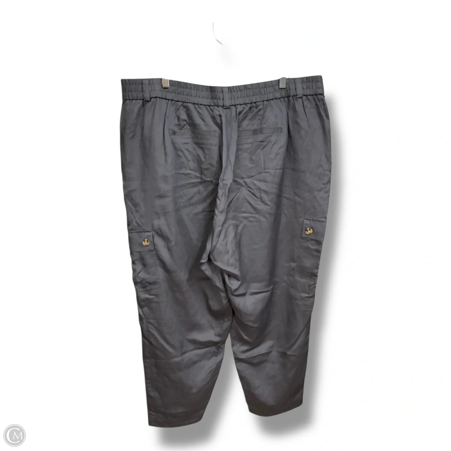 Pants Cargo & Utility By Torrid In Purple, Size: 20