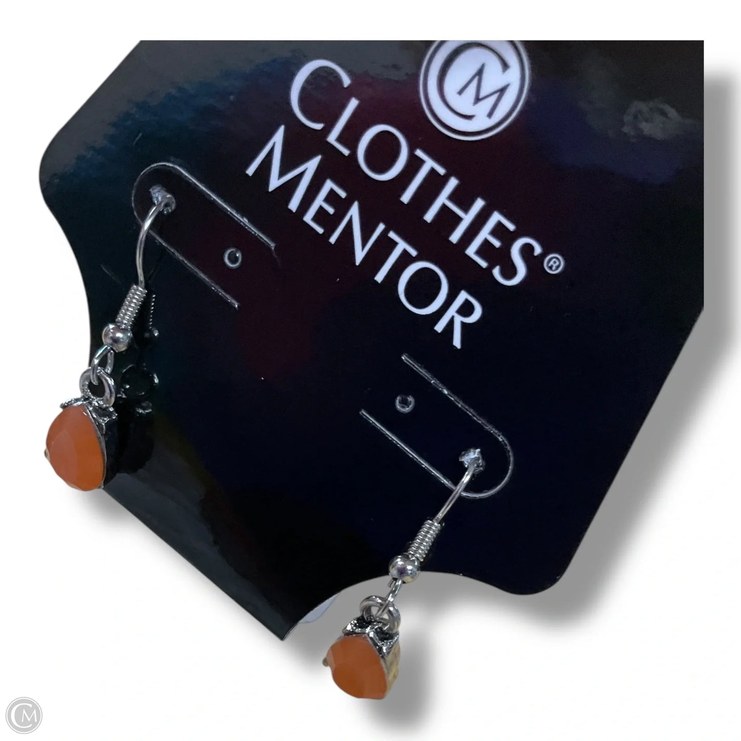 Earrings Dangle/drop By Clothes Mentor