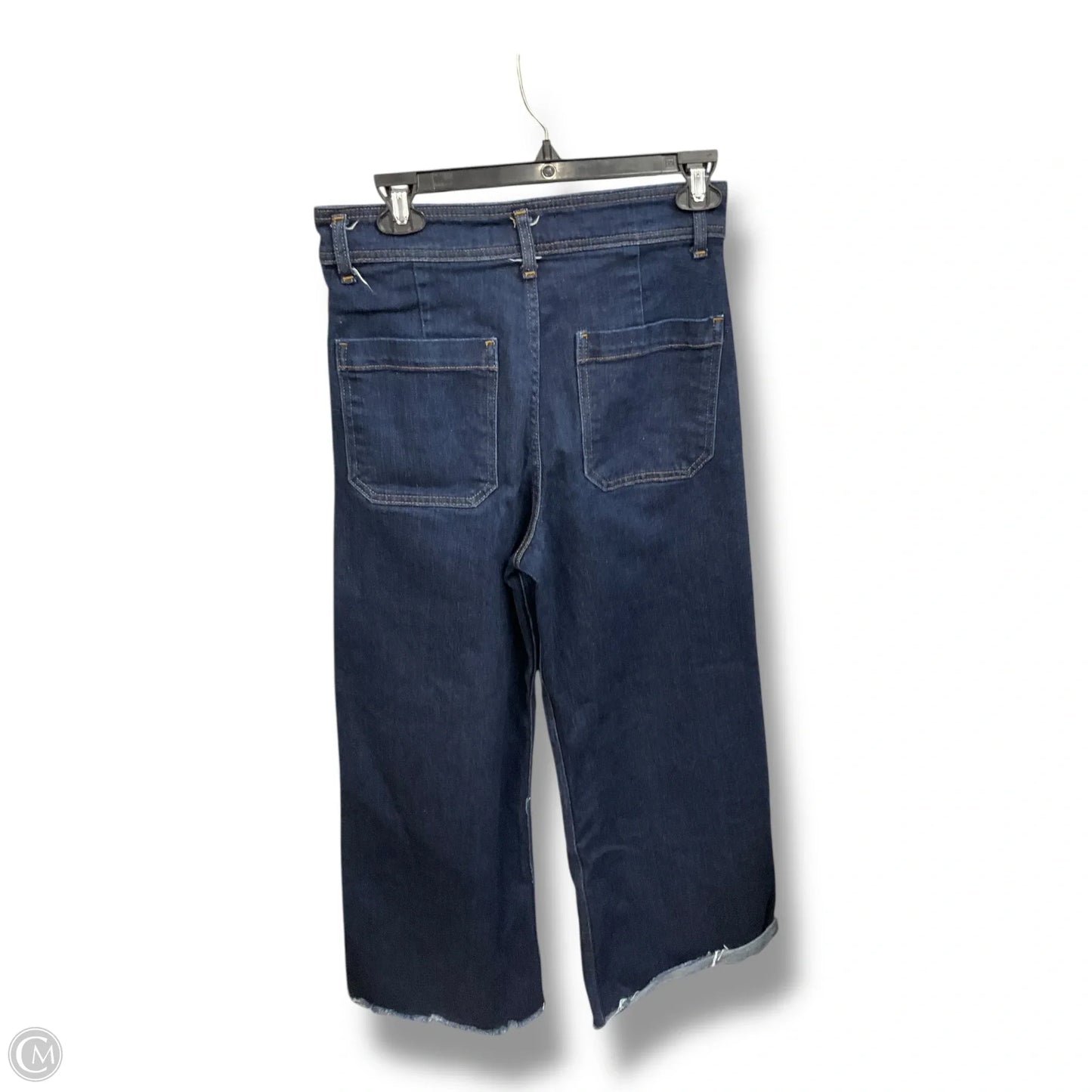 Jeans Wide Leg By Zara In Blue, Size: 6