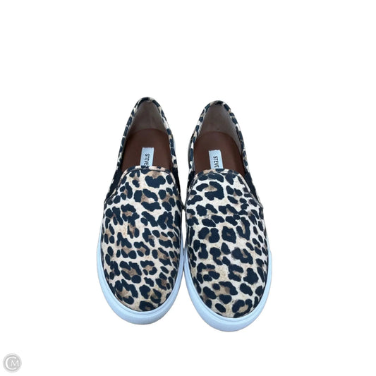 Shoes Flats By Steve Madden In Animal Print, Size: 8.5