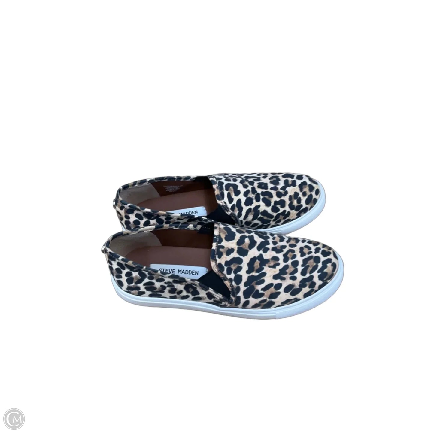 Shoes Flats By Steve Madden In Animal Print, Size: 8.5
