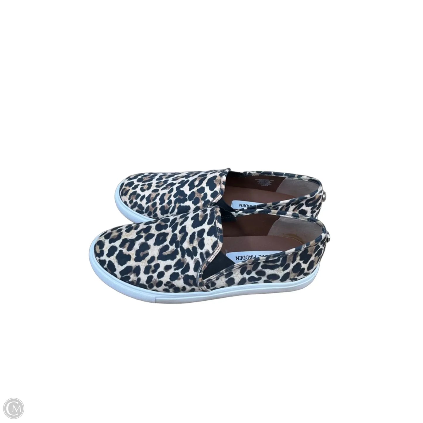 Shoes Flats By Steve Madden In Animal Print, Size: 8.5