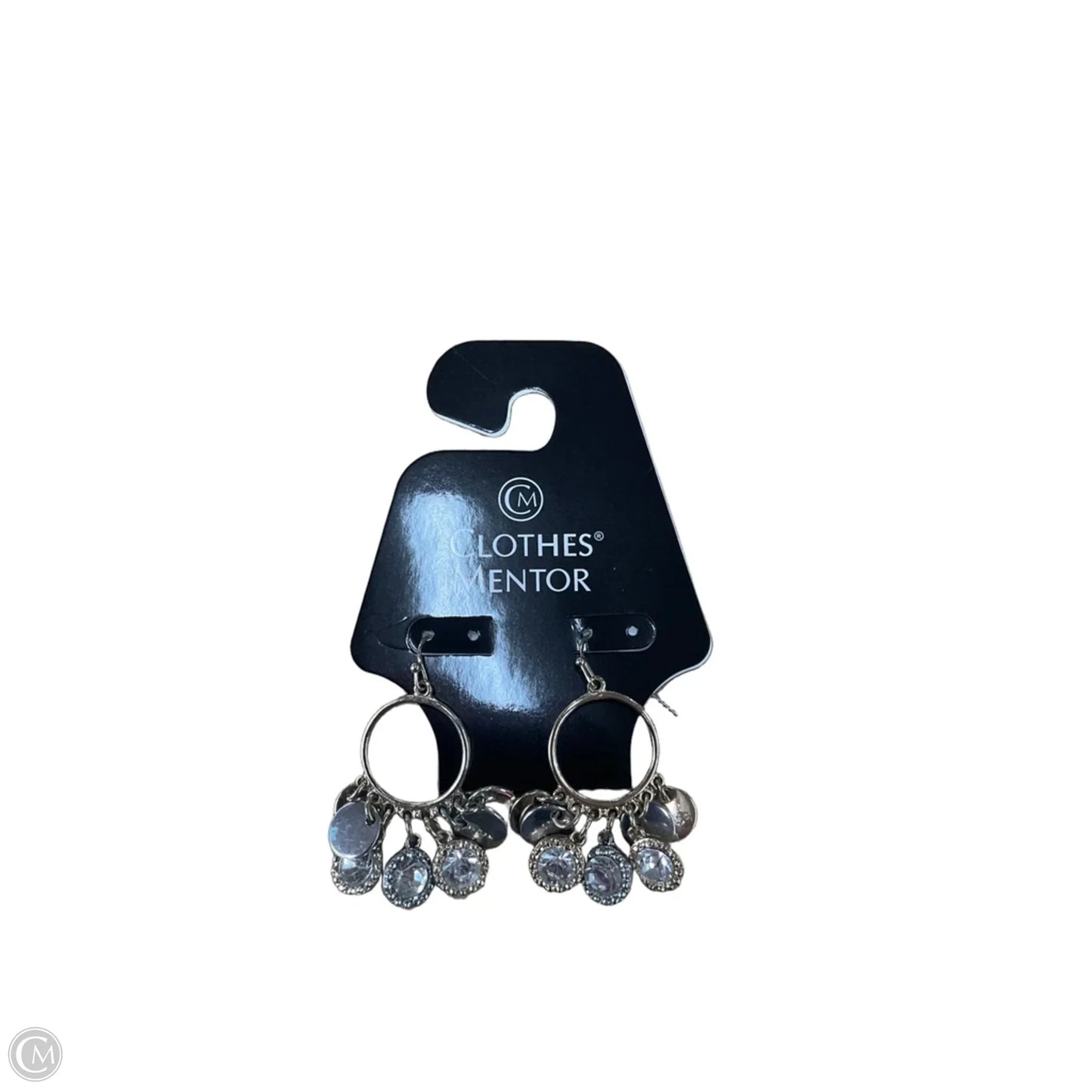 Earrings Dangle/drop By Clothes Mentor