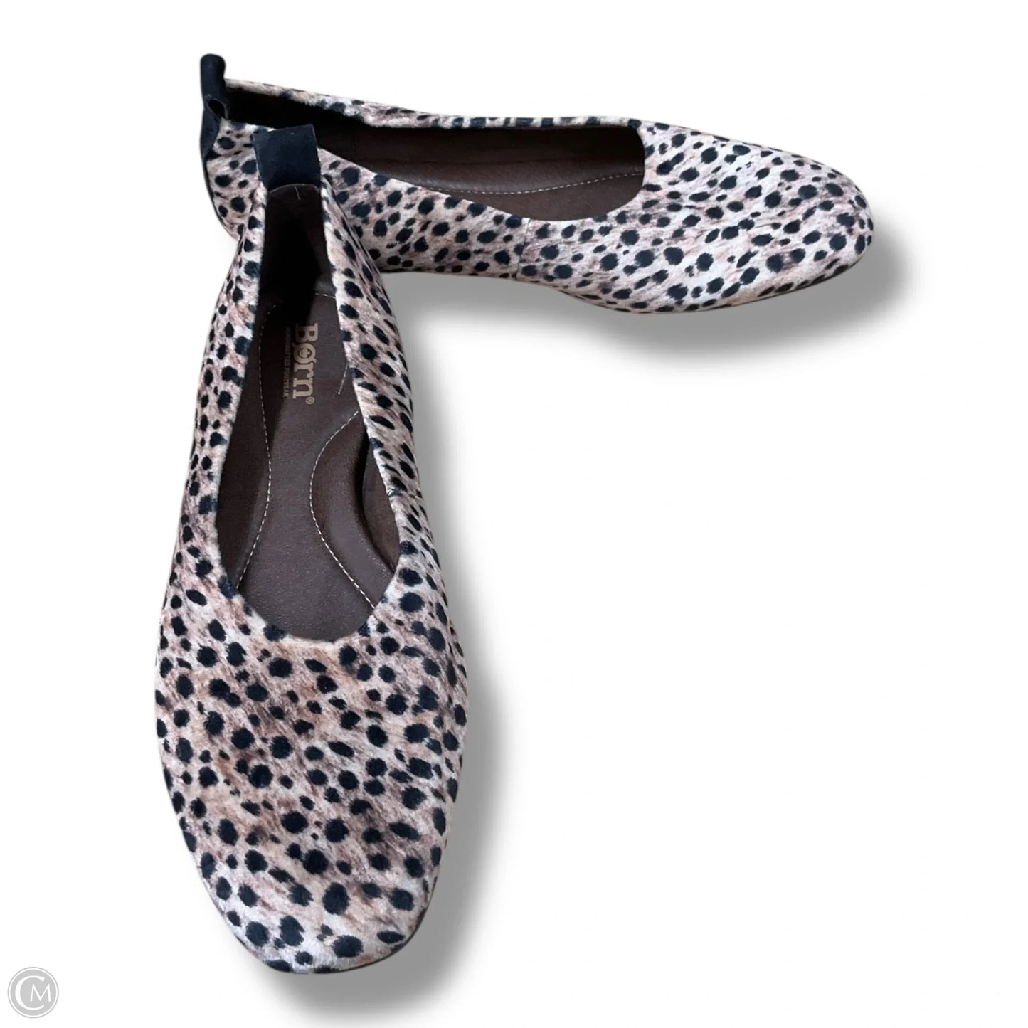 Shoes Flats By Born In Animal Print, Size: 8.5