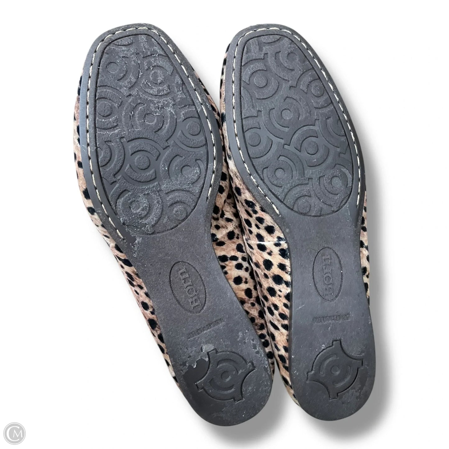 Shoes Flats By Born In Animal Print, Size: 8.5