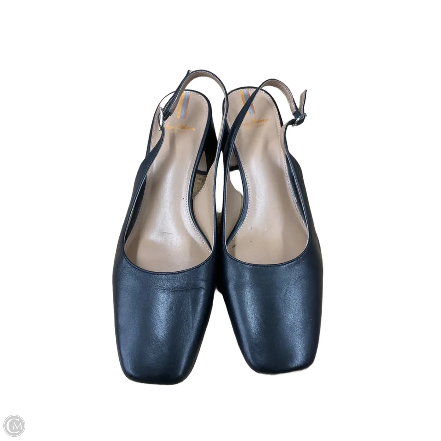 Shoes Heels Kitten By Sam Edelman In Black, Size: 8.5