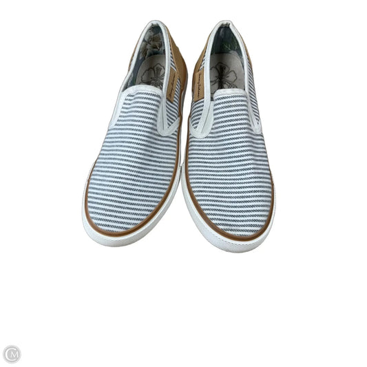 Shoes Sneakers By Tommy Bahama In Striped Pattern, Size: 6