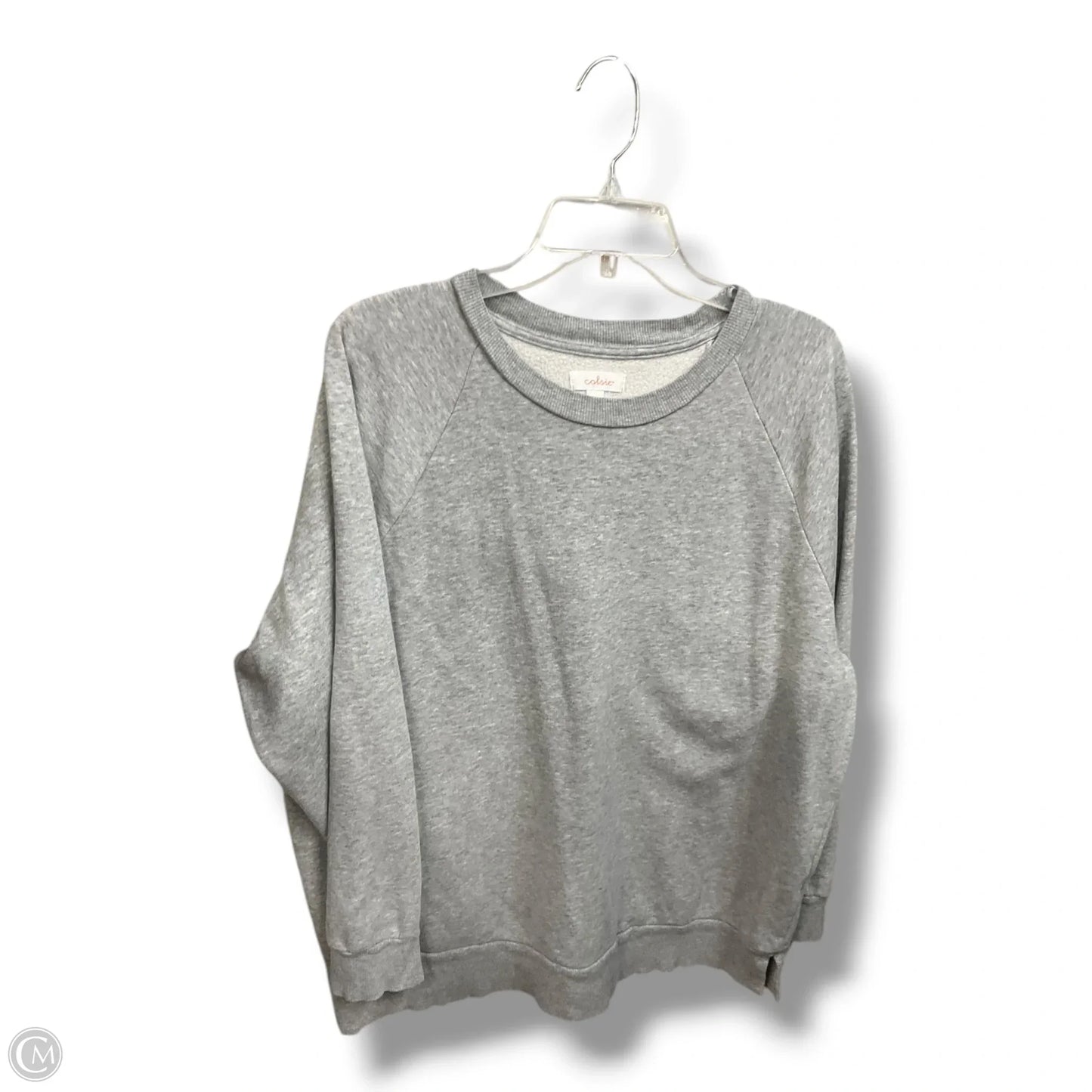 Sweatshirt Collar By Colsie In Grey, Size: L