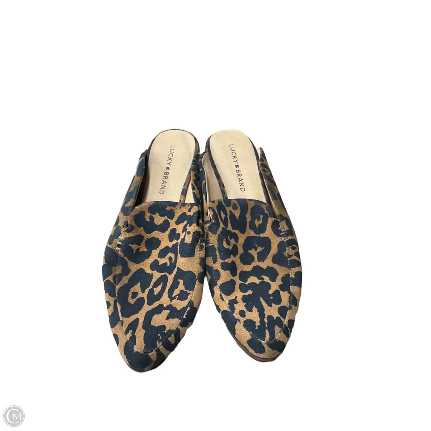 Shoes Heels Kitten By Lucky Brand In Animal Print, Size: 8