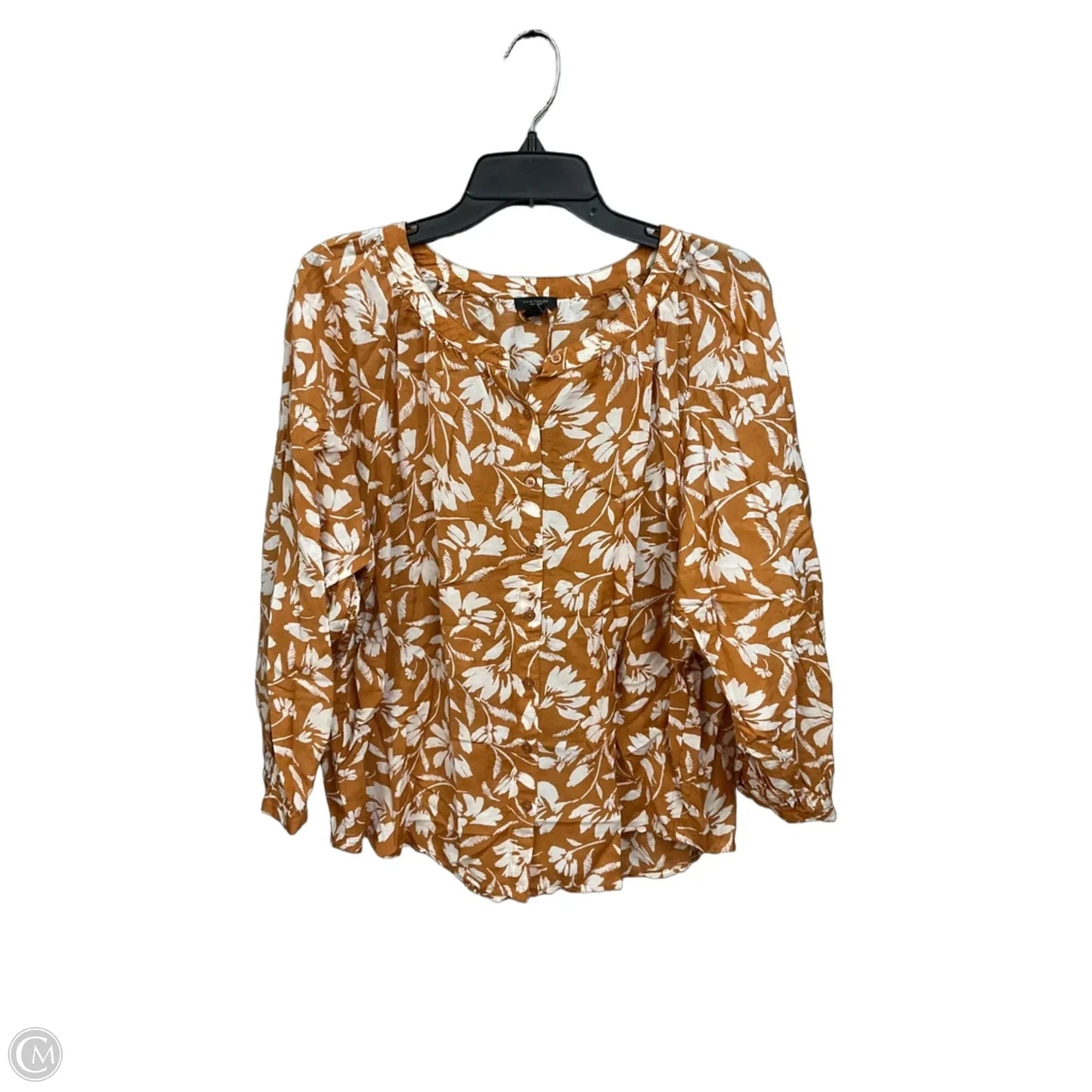 Blouse Long Sleeve By Ann Taylor In Brown & White, Size: Xl
