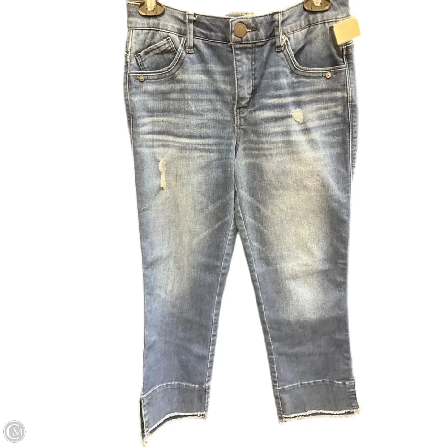 Jeans Straight By Democracy In Blue Denim, Size: 2