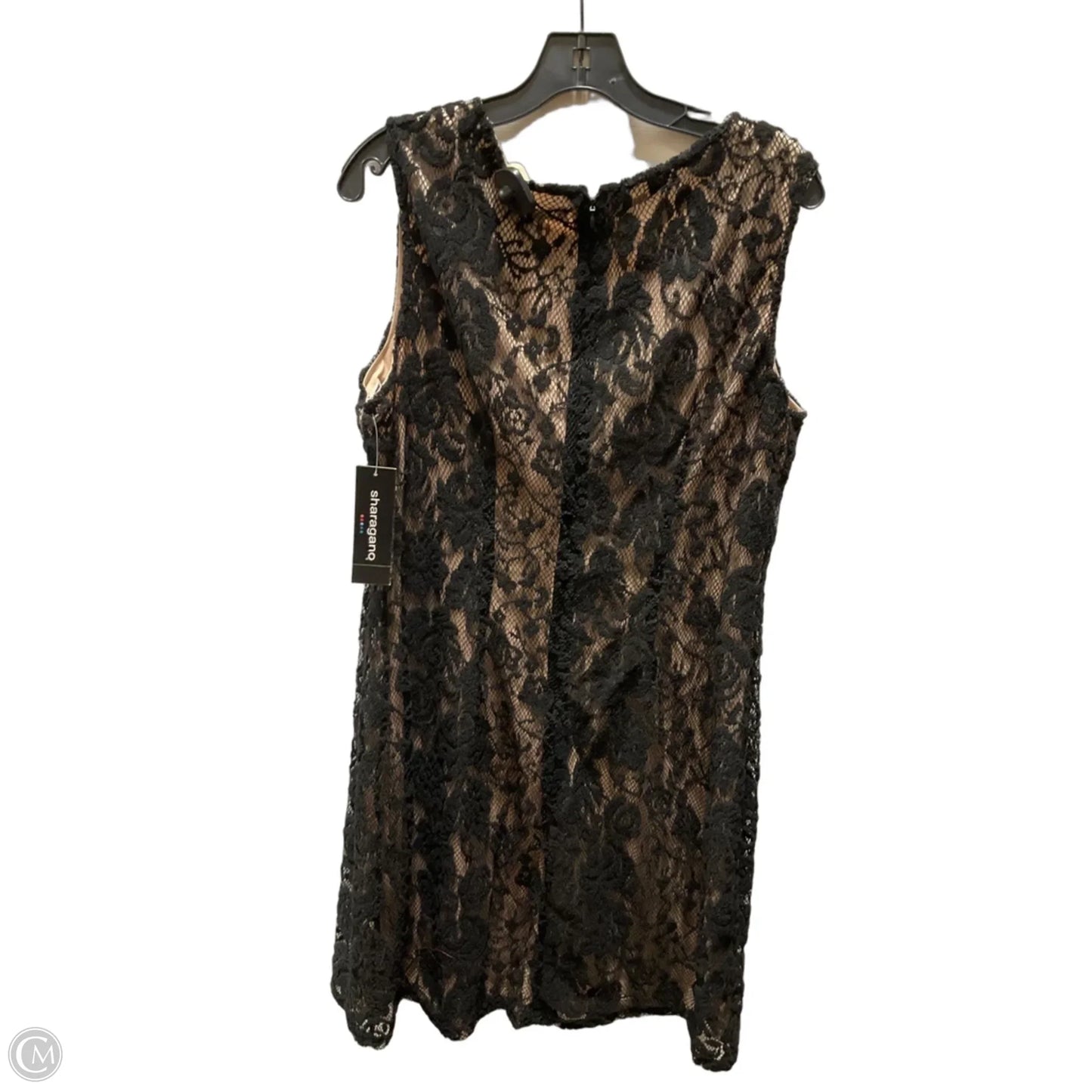 Dress Casual Short By Sharagano In Black, Size: 1x