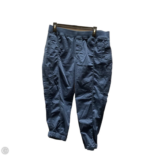 Pants Cargo & Utility By Eddie Bauer In Blue, Size: 14