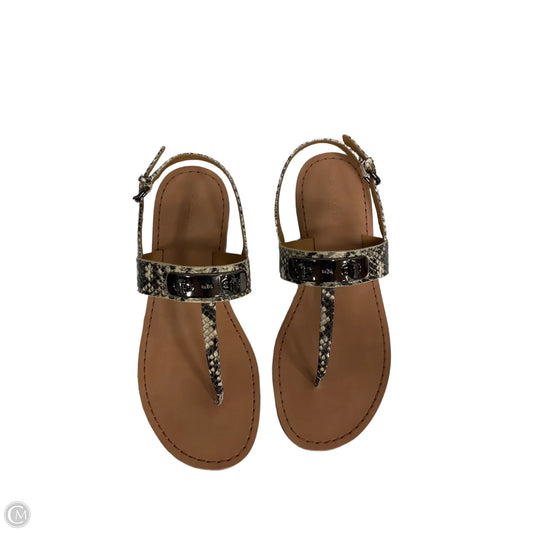Sandals Designer By Coach In Snakeskin Print, Size: 8