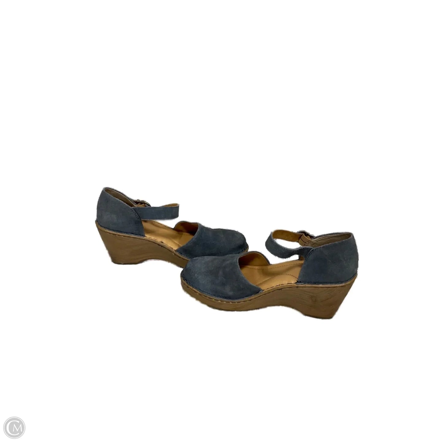 Shoes Heels Platform By Born In Blue, Size: 9