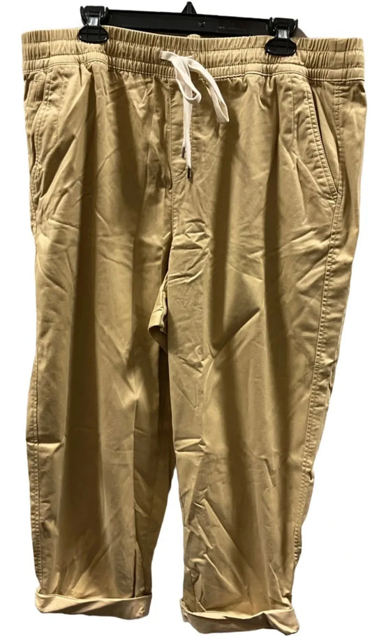 Pants Cargo & Utility By Lane Bryant In Tan, Size: 18