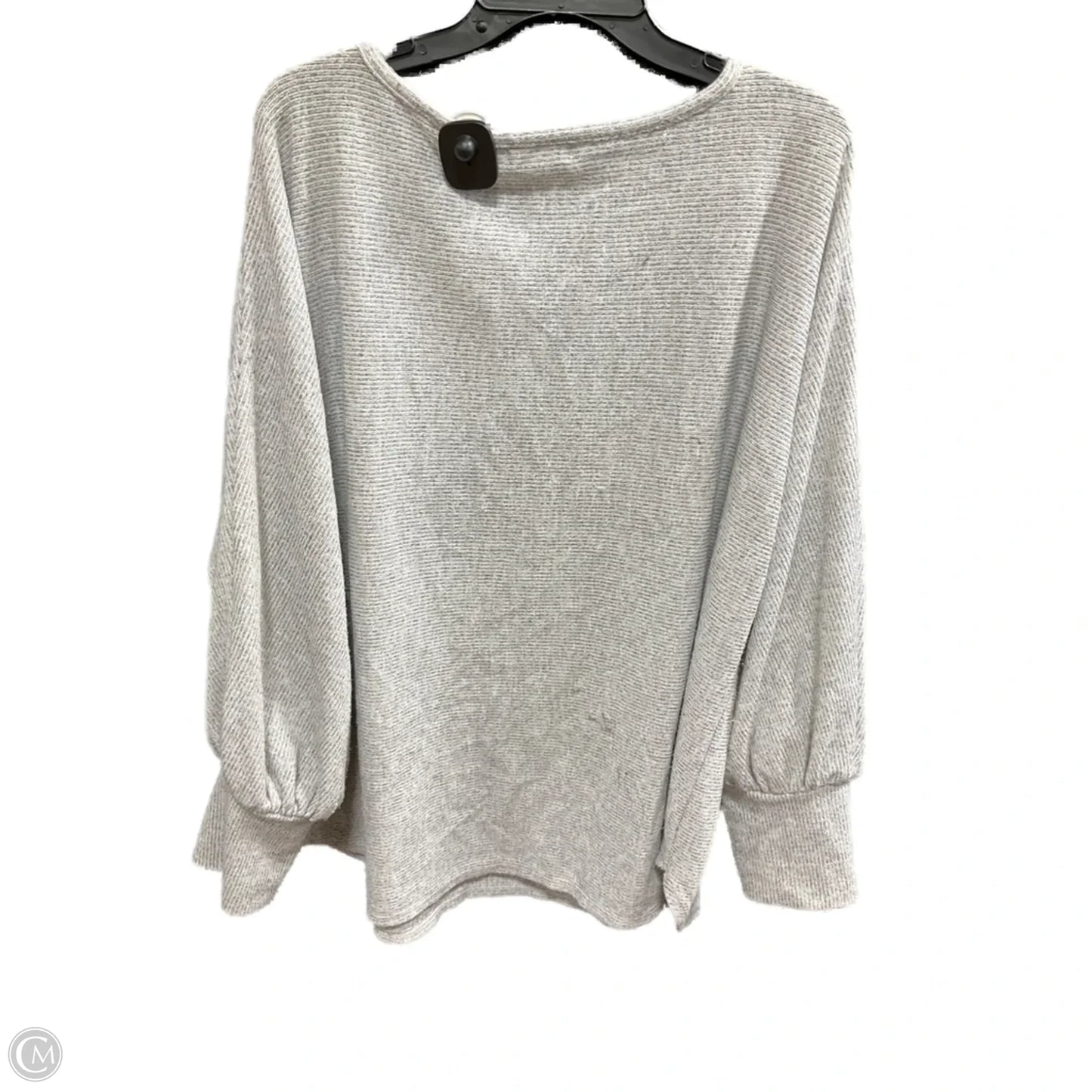 Top Long Sleeve By Max Studio In Grey, Size: 3x