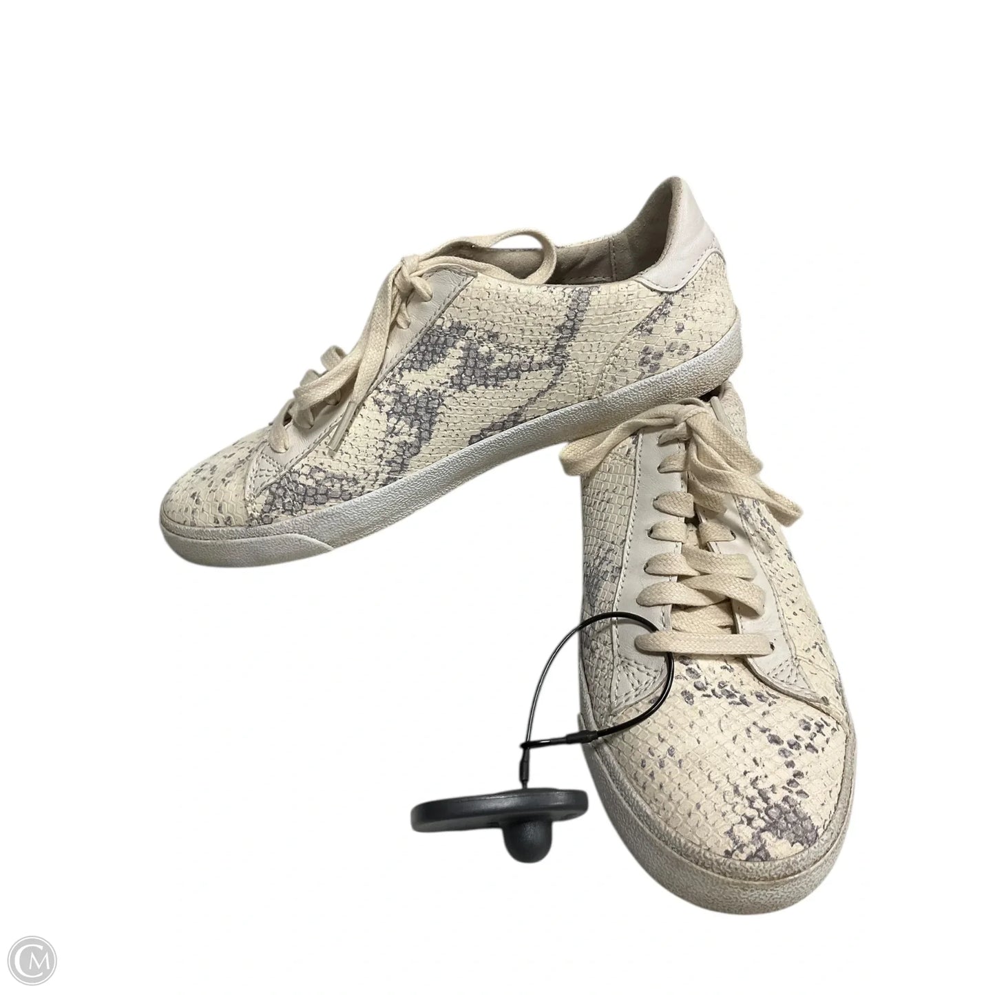 Shoes Sneakers By Cole-haan In Snakeskin Print, Size: 7