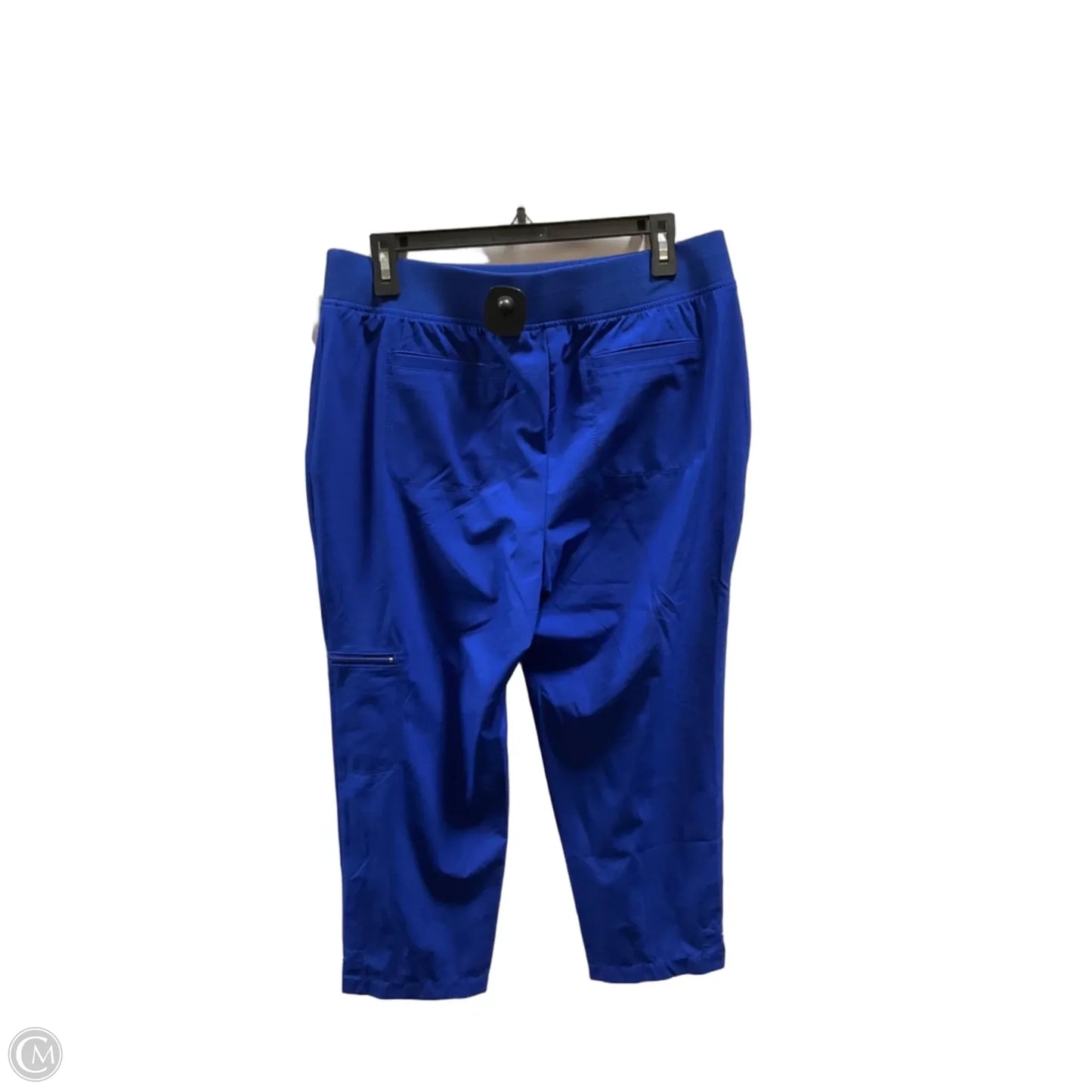 Athletic Capris By Zenergy By Chicos In Blue, Size: L