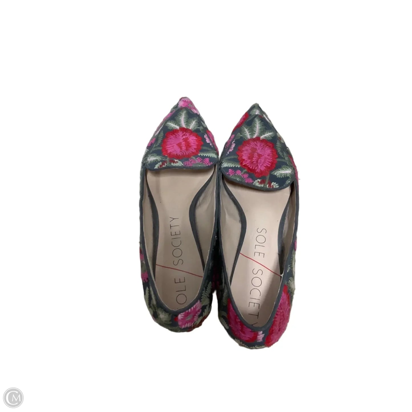 Shoes Flats By Sole Society In Floral Print, Size: 8